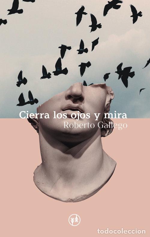 books: CIERRA LOS OJOS Y MIRA - GALLEGO, ROBERTO