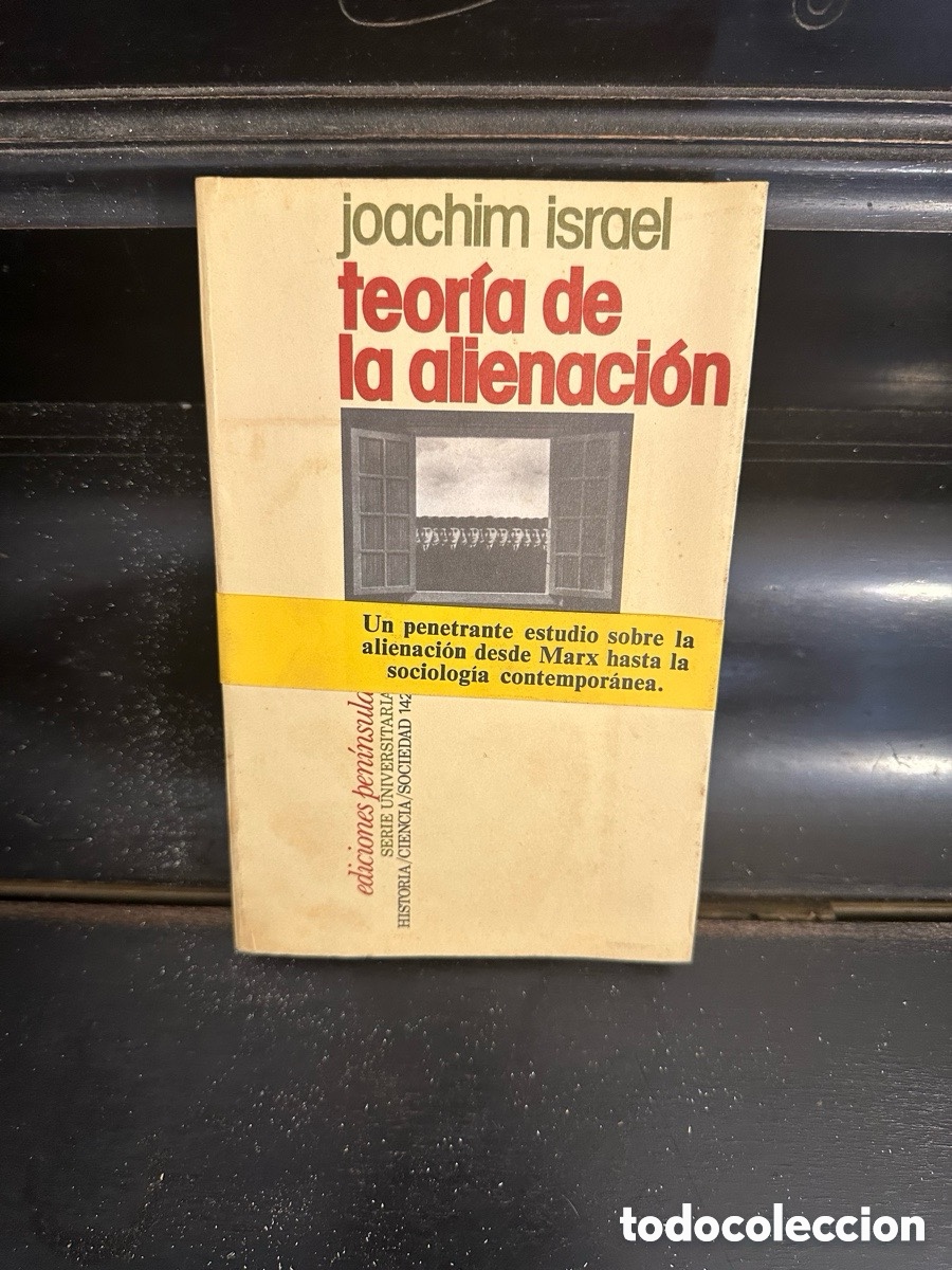 Libros: libro &rdquo;Teor&iacute;a de la alienaci&oacute;n&rdquo; - Foto 1