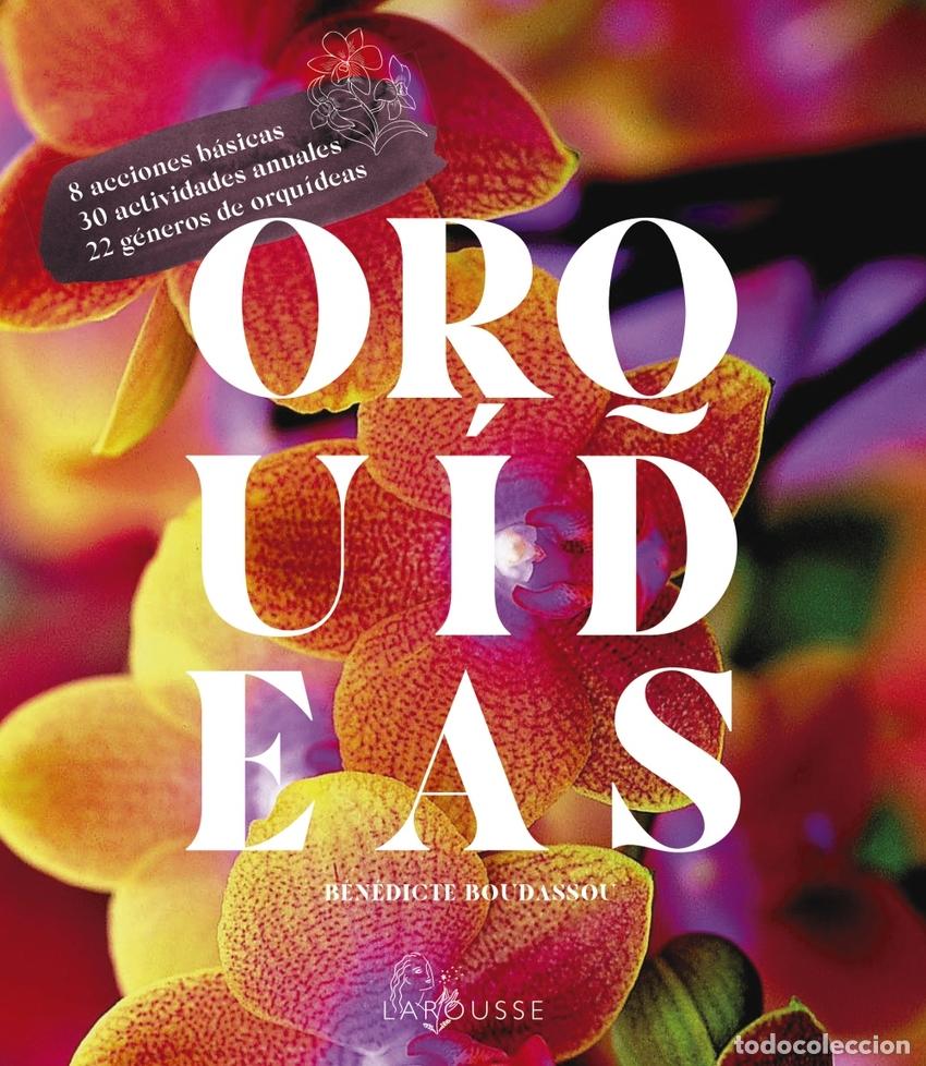 Livros: ORQU&Iacute;DEAS - Boudassou, B&eacute;n&eacute;dicte