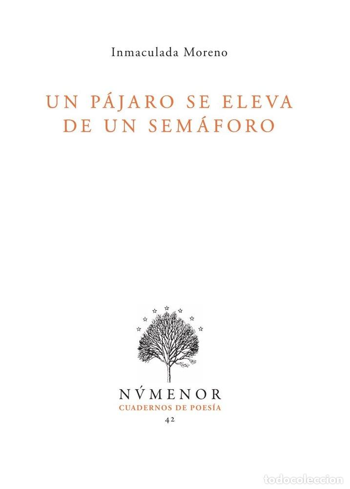 books: UN PAJARO SE ELEVA DE UN SEMAFORO - MORENO, INMACULADA