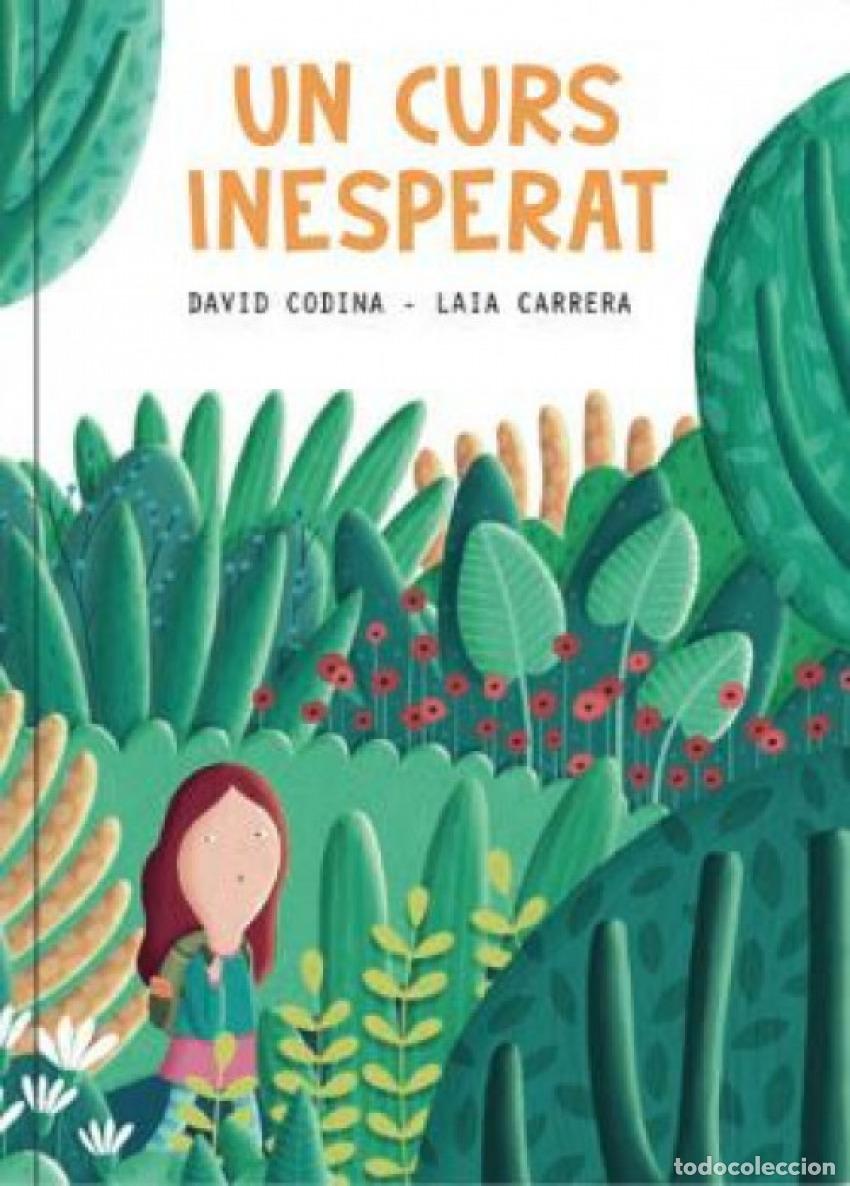Libros: UN CURS INESPERAT - DAVID CODINA