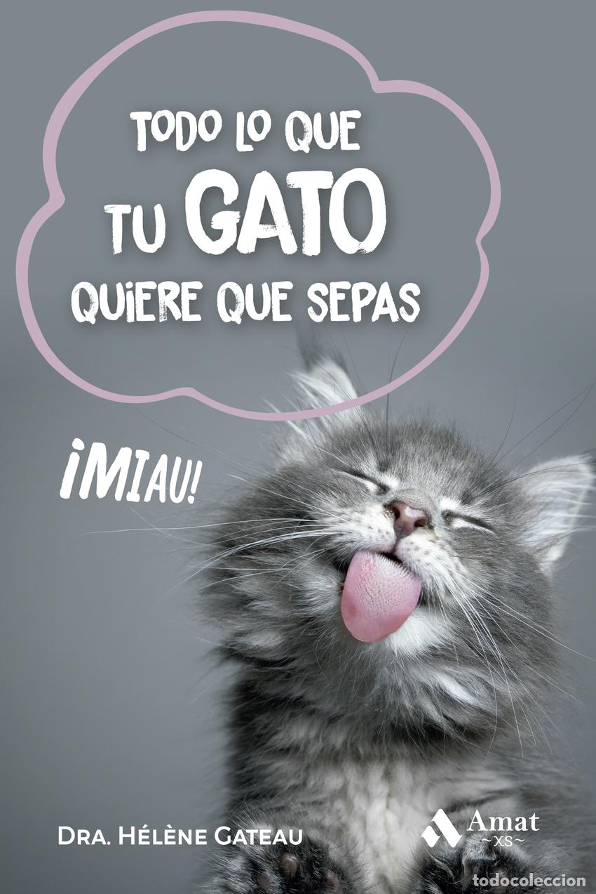 Libri: TODO LO QUE TU GATO QUIERE QUE SEPAS BOLSILLO - Gateau, H&eacute;l&egrave;ne
