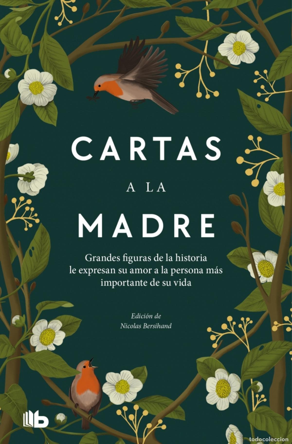 B&uuml;cher: CARTAS A LA MADRE - Bersihand, Nicolas