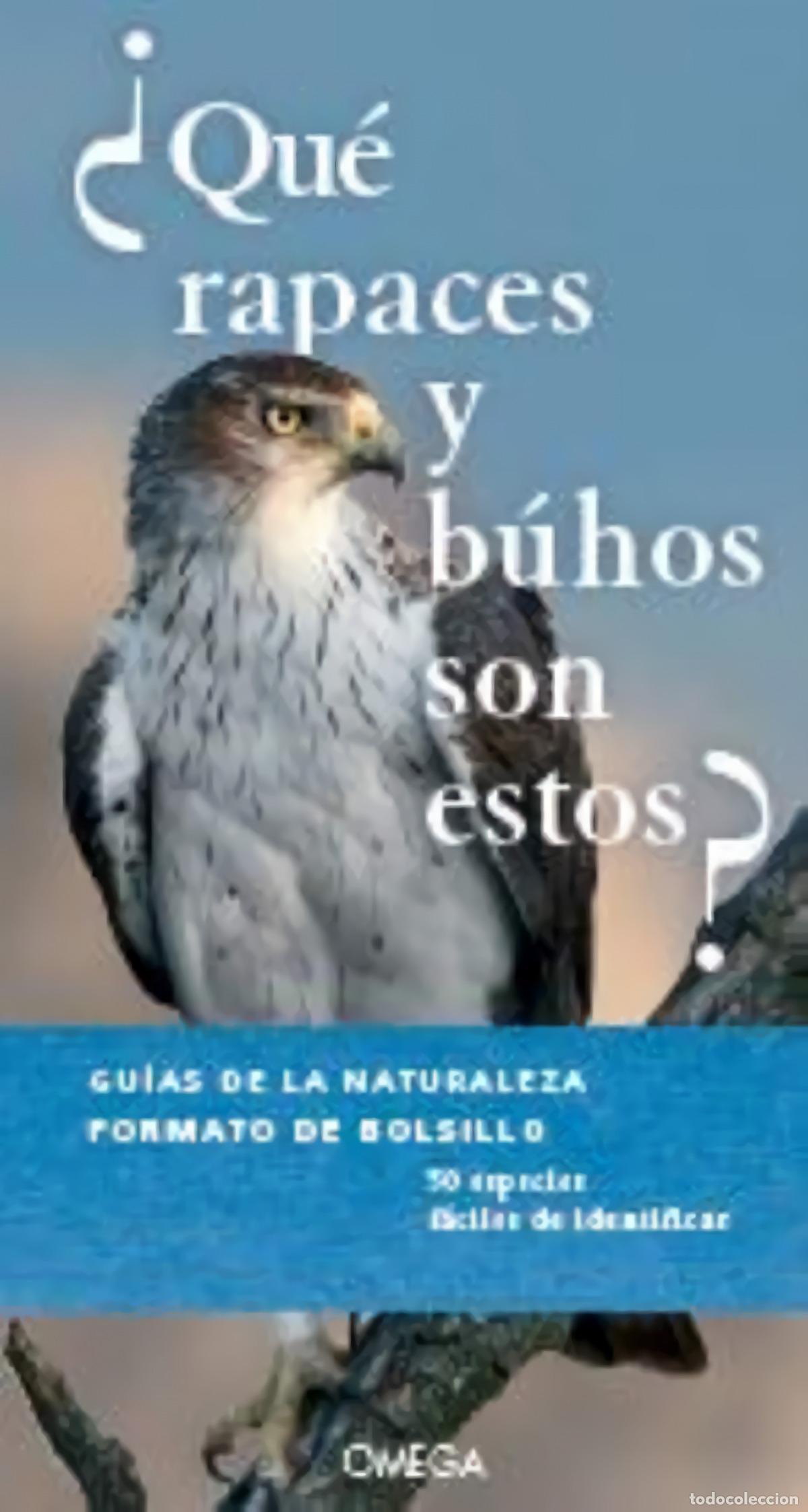 Libri: &iquest;QU&Egrave; RAPACES Y B&Uacute;HOS SON ESTOS? - Varios autores