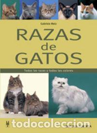 Livres: RAZAS DE GATOS - METZ, GABRIELE