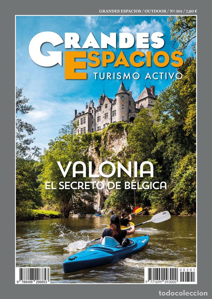 Libros: VALONIA EL SECRETO DE BELGICA - VARIOS AUTORES