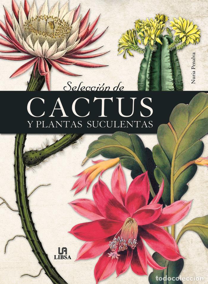 books: SELECCION DE CACTUS Y PLANTAS SUCULENTAS - PENALVA, NURIA