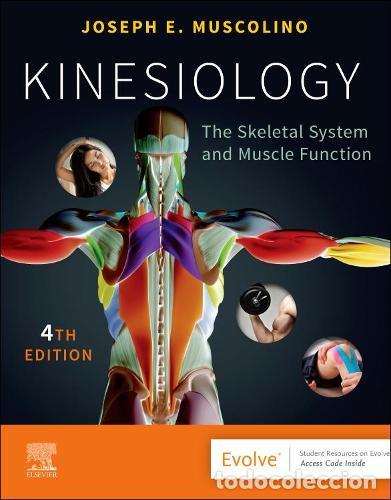 B&uuml;cher: KINESIOLOGY - Muscolino
