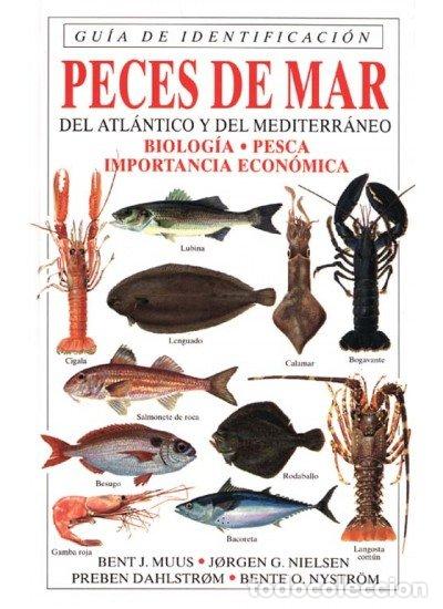 Libros: PECES MAR GUIA IDENTIFICACION - MUUS