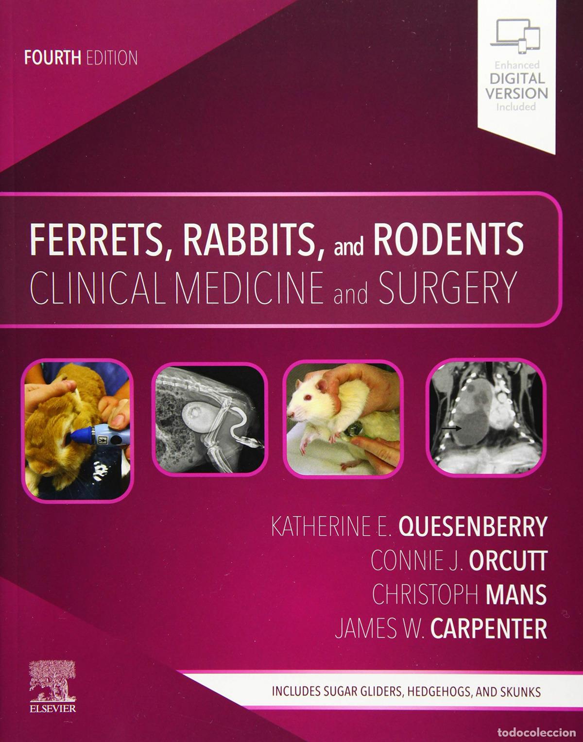B&uuml;cher: FERRETS, RABBITS AND RODENTS.CLINICAL MEDICINE AND SURGERY - Quesenberry, Katherine
