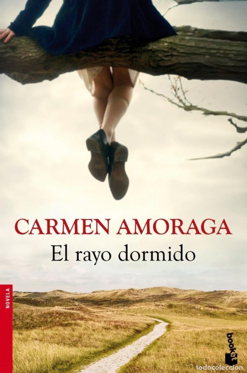 Libros: EL RAYO DORMIDO - Amoraga, Carmen