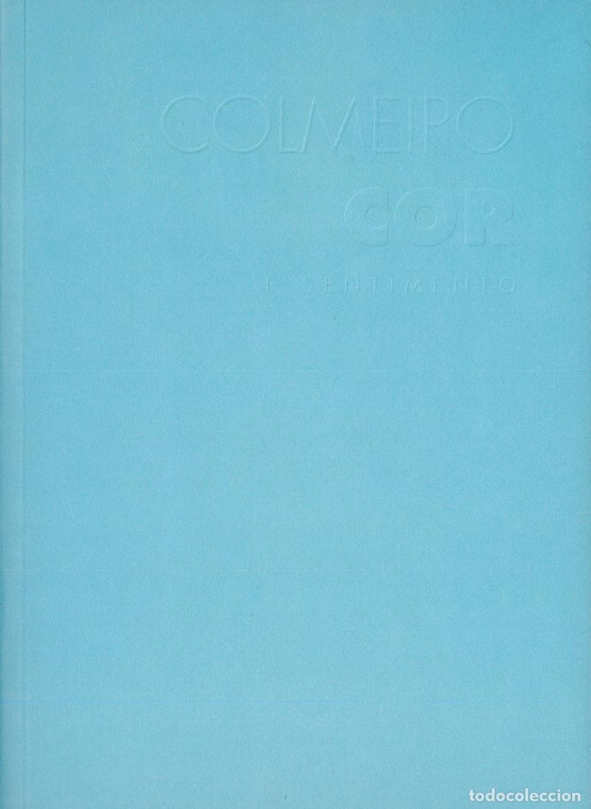 Libri: COLMEIRO. COR E SENTIMENTO - L&oacute;pez Alonso, M&oacute;nica