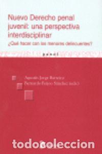 Libri: NUEVO DERECHO PENAL JUVENIL: UNA PERSPECTIVA INTERDISCIPLINA - JORGE BARREIRO, AGUSTIN