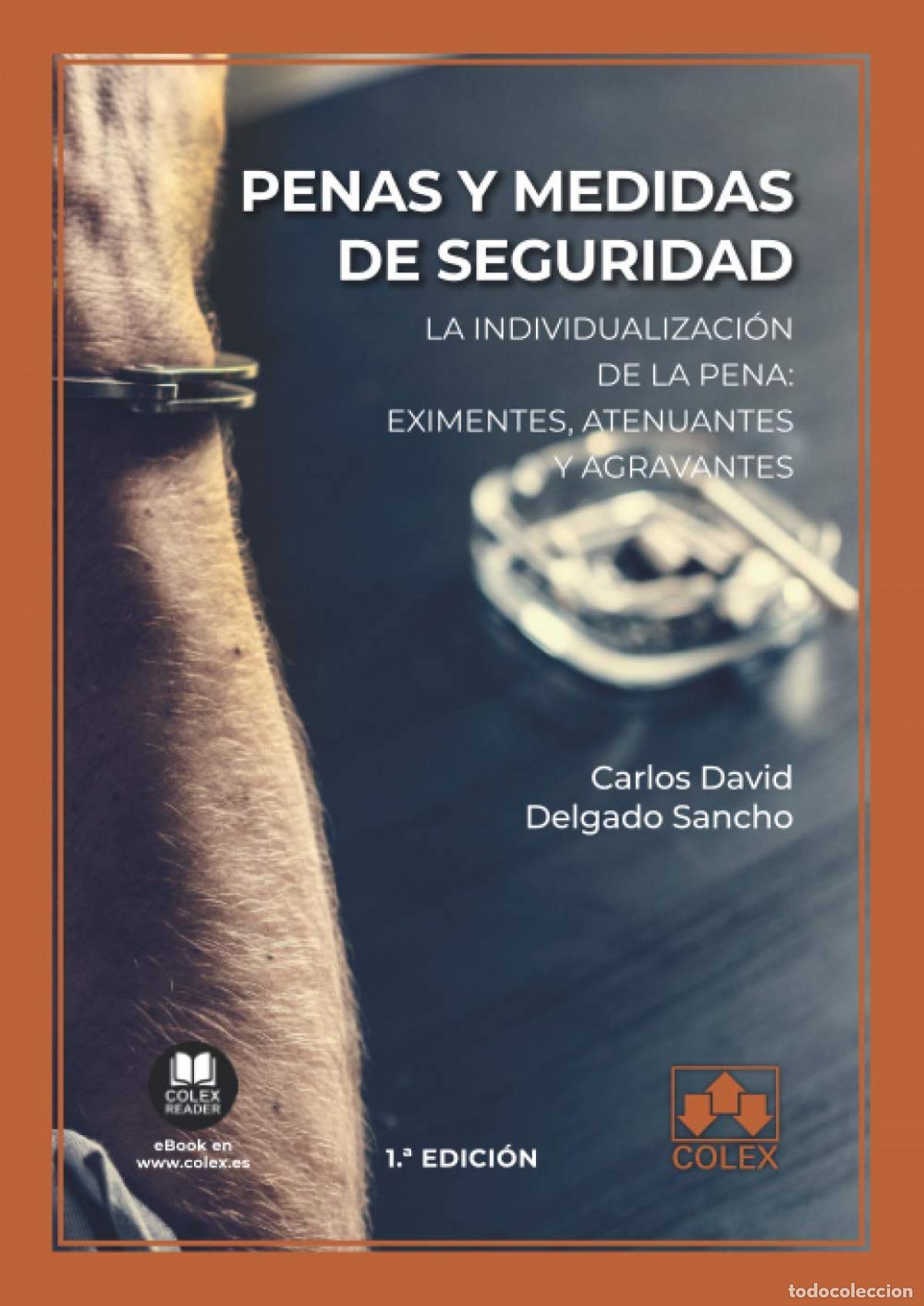 Libri: PENAS Y MEDIDAS DE SEGURIDAD - Delgado Sancho, Carlos David