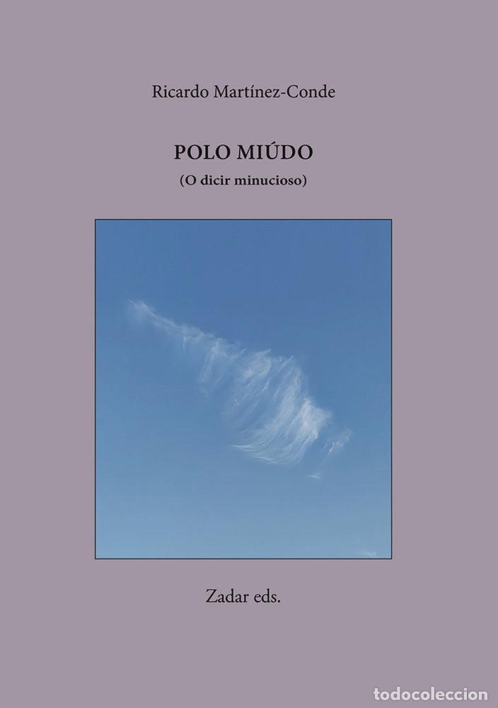 Libri: POLO MIUDO - MARTINEZ-CONDE, RICARDO