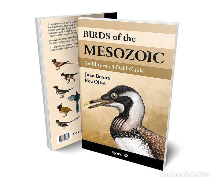 Livros: BIRDS OF THE MESOZOIC - JUAN BENITO
