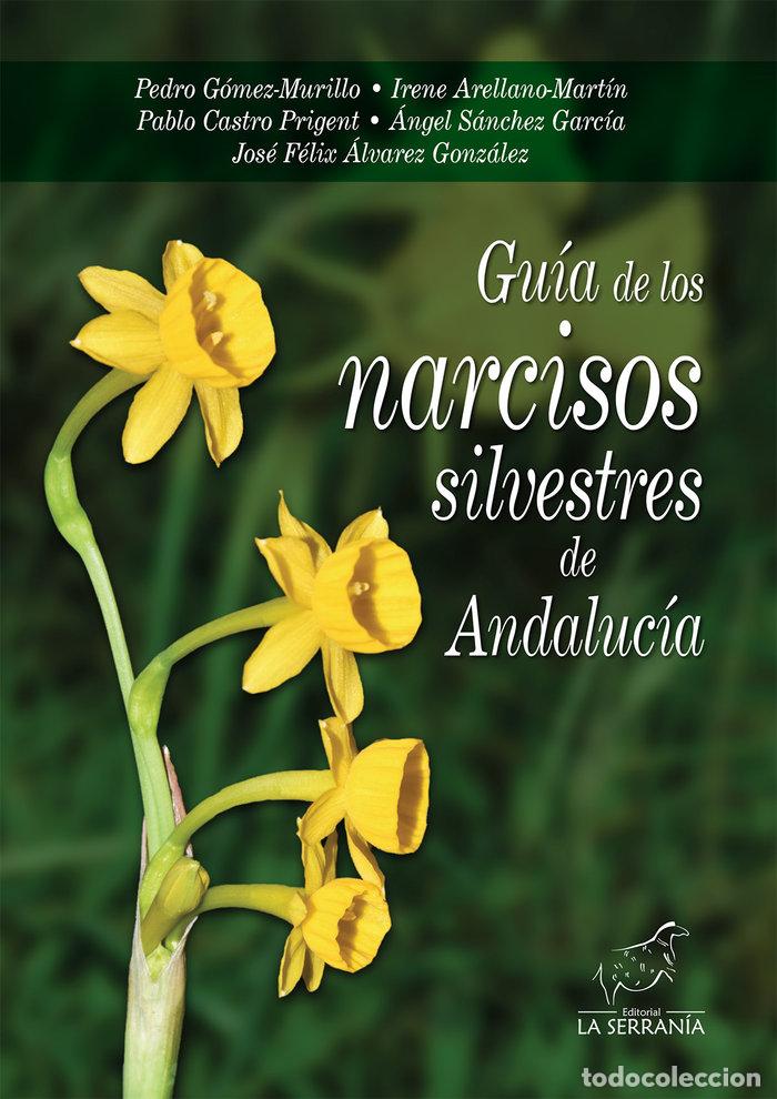 Libros: GUIA DE LOS NARCISOS SILVESTRES DE ANDALUCIA - &Aacute;LVAREZ GONZALEZ, JOSE FELIX