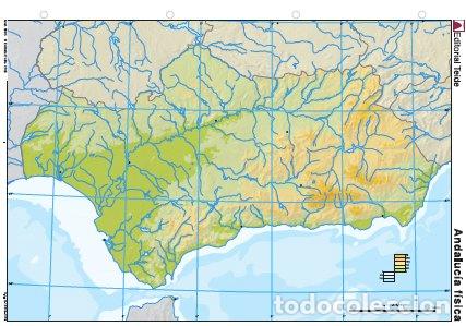 B&uuml;cher: MAPA MUDO ANDALUCIA FISICO COLOR (25 UDS) - AA.VV
