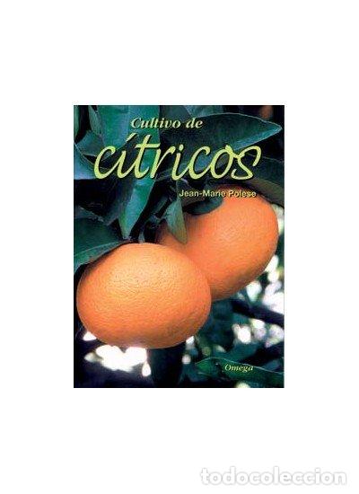 Libri: CULTIVO DE CITRICOS - POLESE, JEAN MARIE