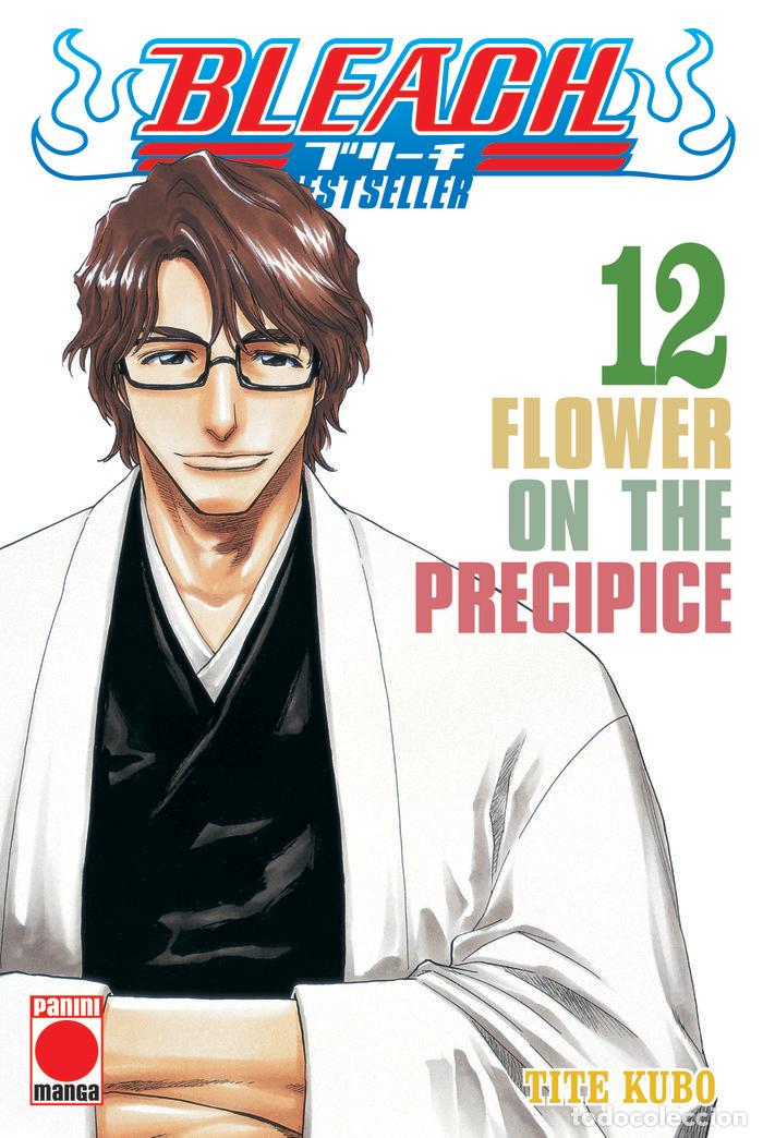 Libros: BLEACH BESTSELLER 12 FLOWER ON THE PRECIPICE - TITE KUBO