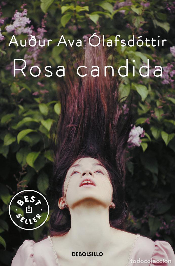 Libros: ROSA CANDIDA - OLAFSDOTTIR, AUDUR AVA