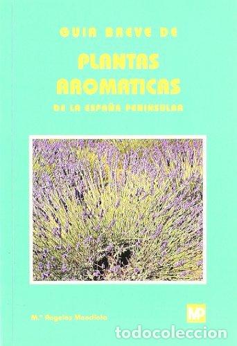 Libros: GUIA BREVE DE PLANTAS AROMATICAS DE LA ESPA&Ntilde;A PENI - MENDIOLA UBILLOS, MAR&Iacute;A &Aacute;NGELE