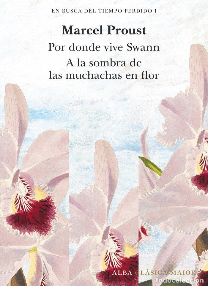 Libros: EN BUSCA DEL TIEMPO PERDIDO I - MARCEL PROUST