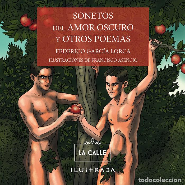 books: SONETOS DE AMOR OSCURO Y OTROS POEMAS - GARCIA LORCA, FEDERICO