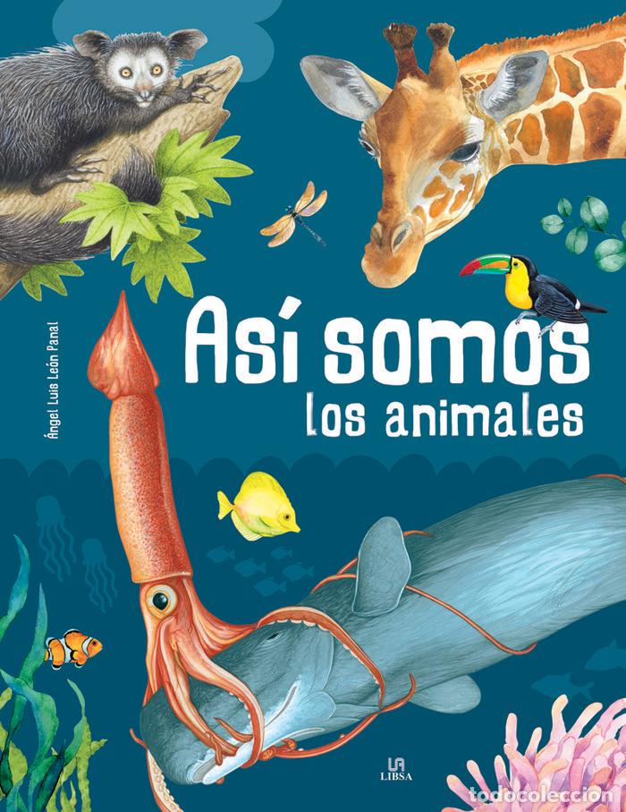 Livros: ASI SOMOS LOS ANIMALES - LEON PANAL, ANGEL LUIS