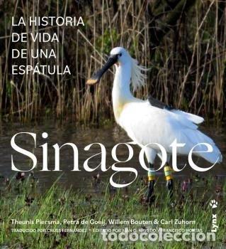 books: SINAGOTE LA HISTORIA DE VIDA DE UNA ESPATULA - PIERSMA, THEUNIS