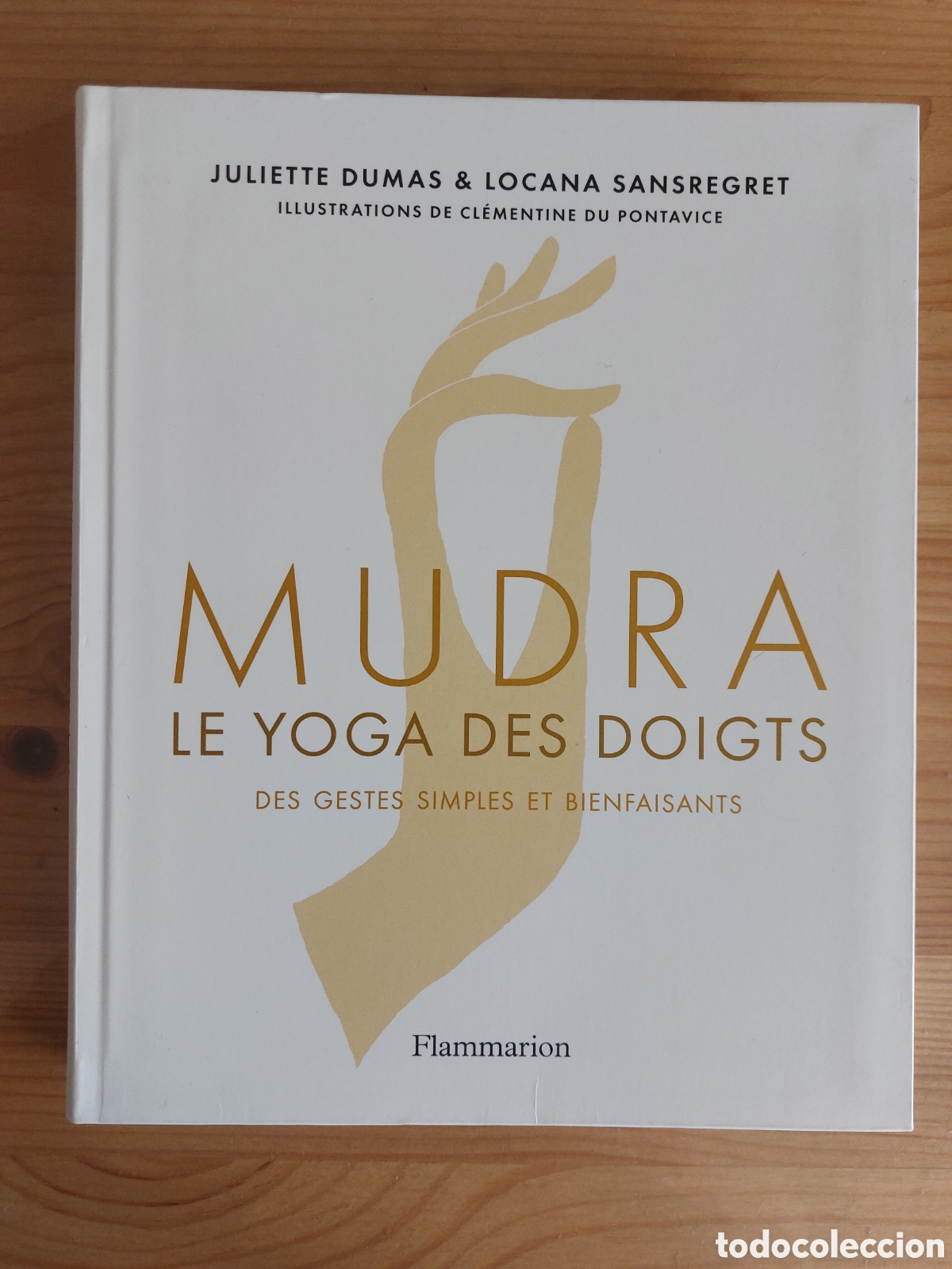 Libros: Mudra. Le Yoga des doigts