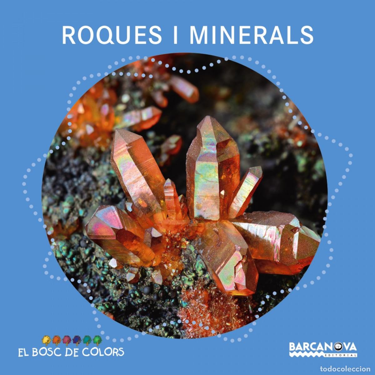 Libros: ROQUES I MINERALS - Bald&oacute;, Estel