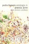 B&uuml;cher: PEDRA FOGUERA ANTOLOGIA DE POESIA JOVE DELS PAISOS CATALANS - DD AA