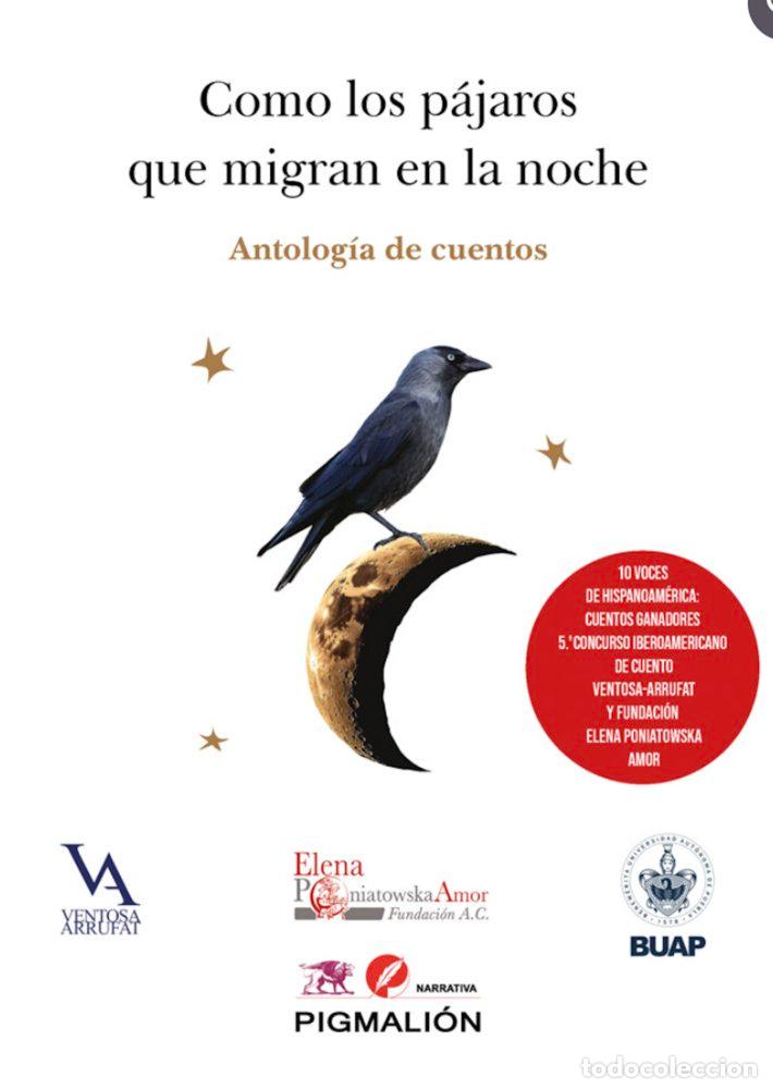 books: COMO LOS PAJAROS QUE MIGRAN EN LA NOCHE - AA.VV