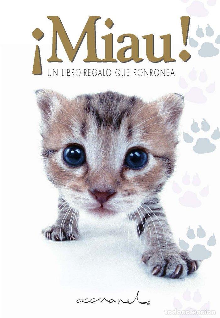Libri: MIAU - EXLEY, HELEN.