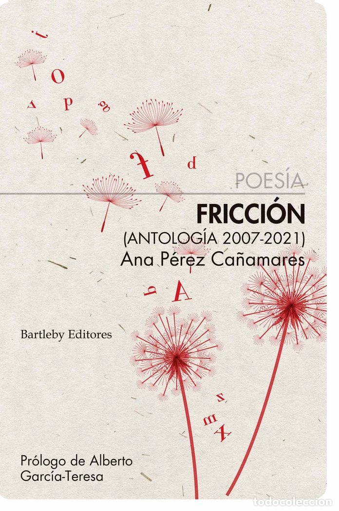 Libri: FRICCION - PEREZ CA&Ntilde;AMARES, ANA