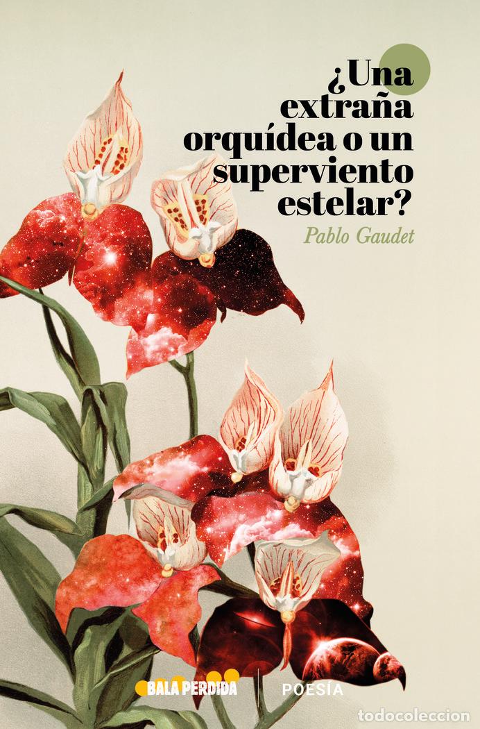 B&uuml;cher: UNA ORQUIDEA SALVAJE O UN VIENTO SUPERESTELAR - GAUDET, PABLO