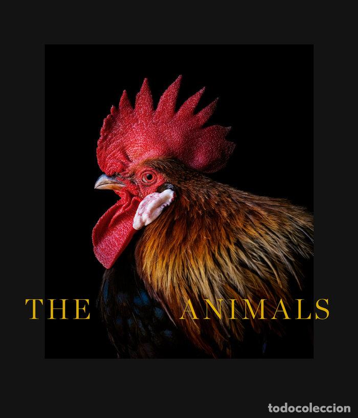 Livres: THE ANIMALS - DE CASTRO., ESTELA