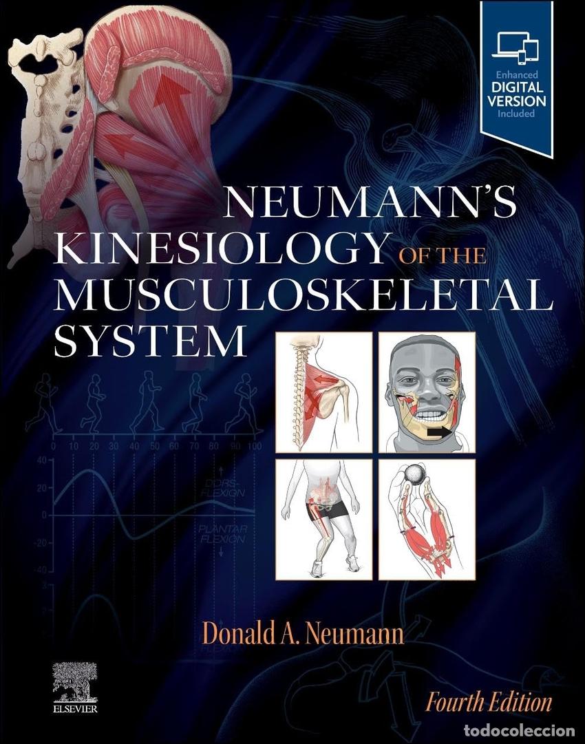 Livres: NEUMANN&acute;S KINESIOLOGY OF THE MUSCULOSKELETAL SYSTEM - Neumann