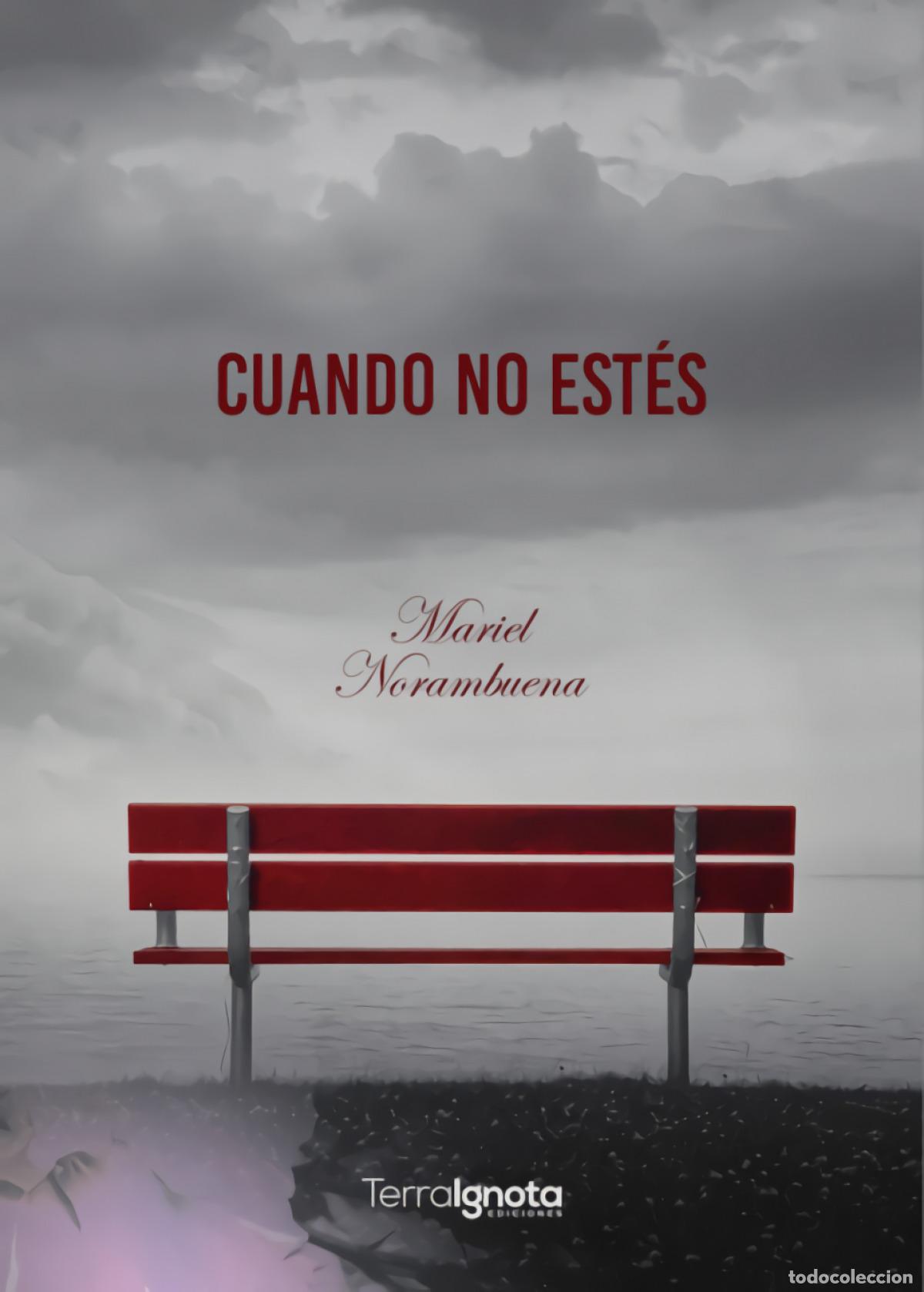 Libros: CUANDO NO EST&Eacute;S - Norambuena, Mariel