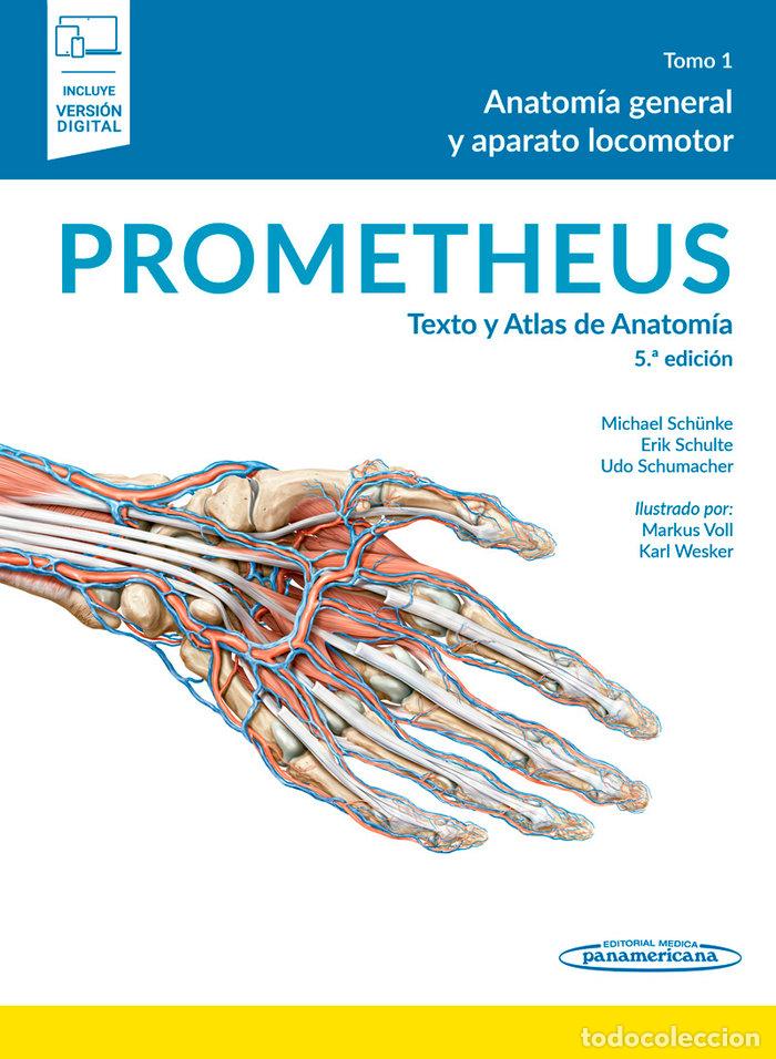 Livres: PROMETHEUS TEXTO Y ATLAS DE ANATOMIA 3VOL - PROMETHEUS