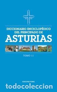 Libros: DICCIONARIO ENCICLOPEDICO DEL PRINCIPADO DE ASTURIAS (TOMO 1 - AA.VV.