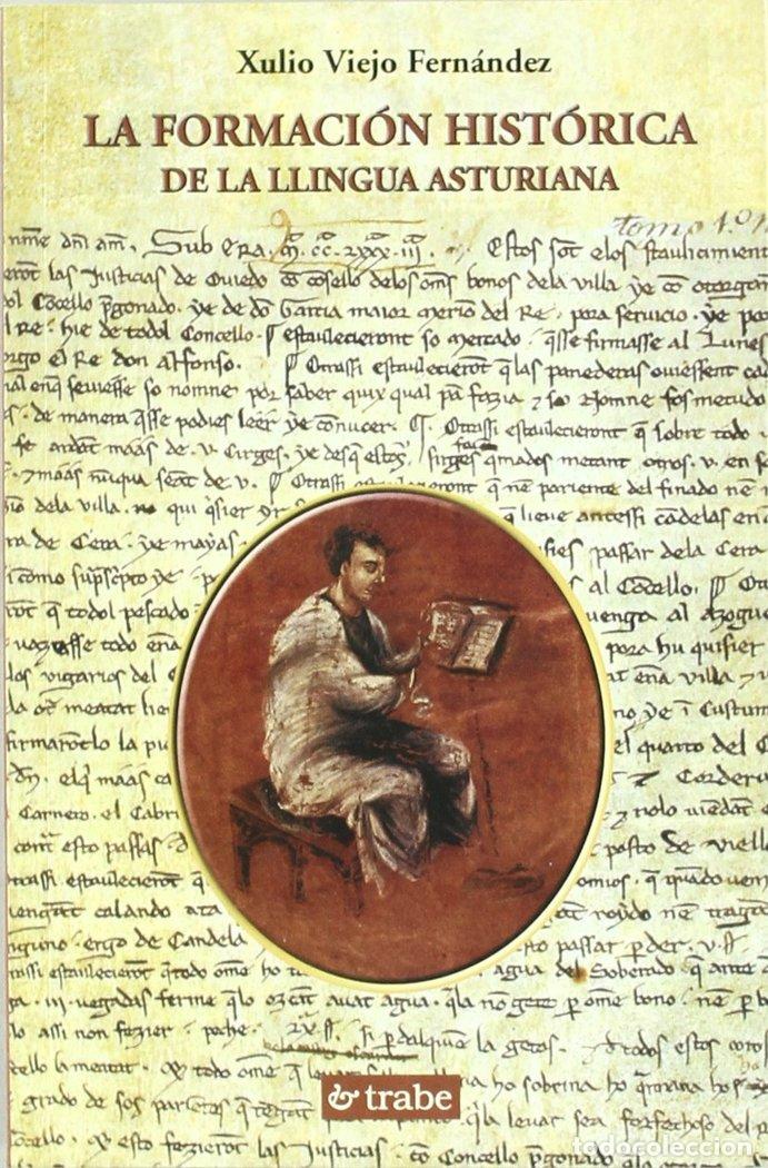 Libros: LA FORMACION HISTORICA DE LA LLINGUA ASTURIANA - VIEJO, XULIO
