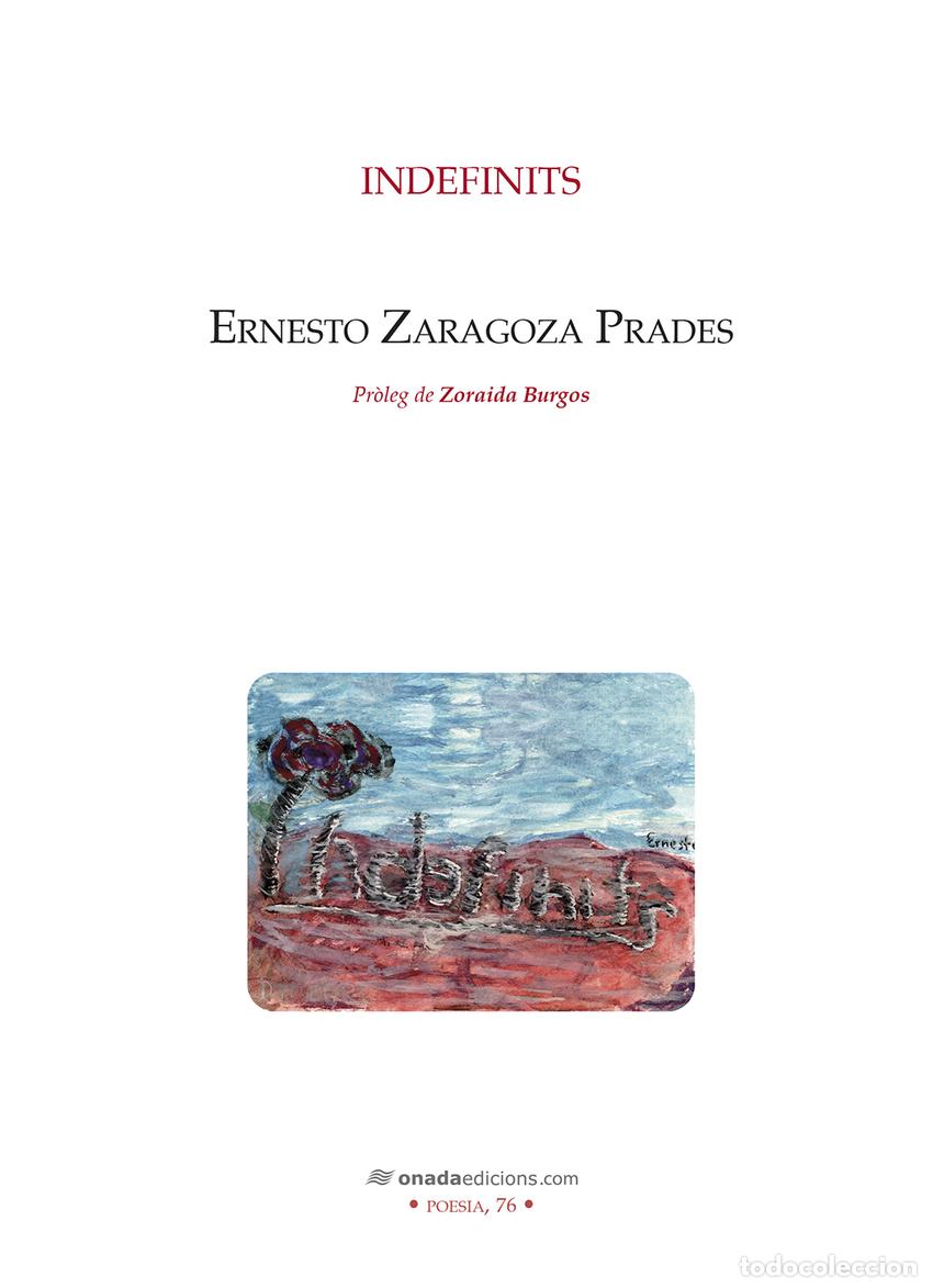 Libros: INDEFINITS - Zaragoza Prades, Ernesto