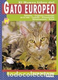 Livres: GATO EUROPEO - AA.VV