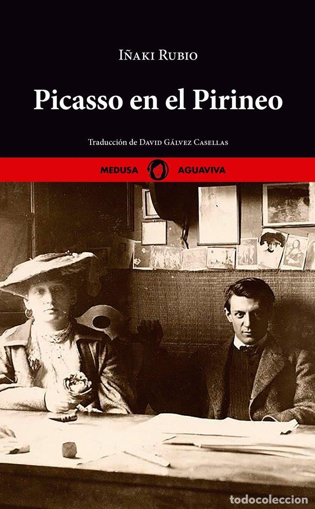 Libros: PICASSO EN EL PIRINEO - RUBIO, I&Ntilde;AKI
