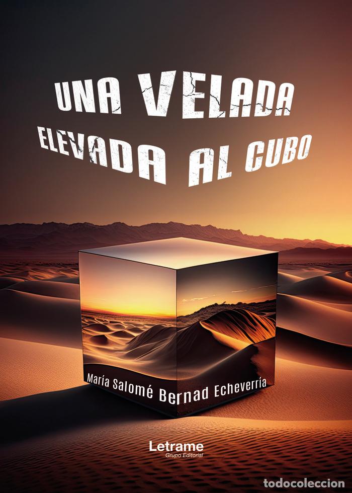 B&uuml;cher: UNA VELADA ELEVADA AL CUBO - BERNAD ECHEVARRIA, MARIA SALOME