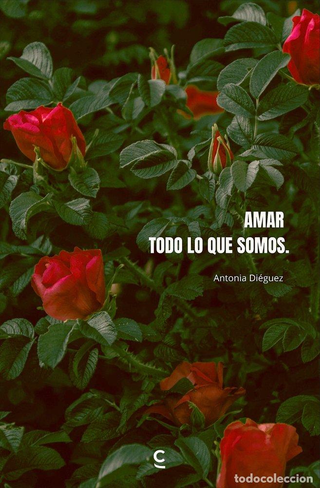 Libros: AMAR TODO LO QUE SOMOS - DIEGUEZ, ANTONIA