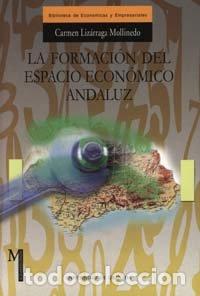 Libros: FORMACION DEL ESPACIO ECONOMICO ANDALUZ,LA - LIZARRAGA MOLLINEDO, CARMEN