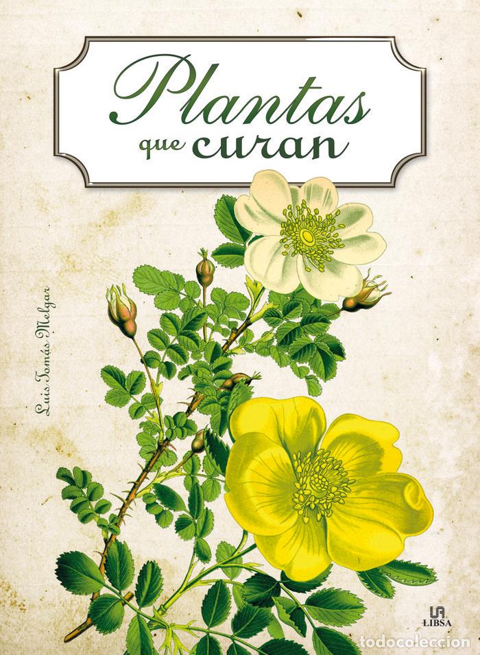 Libros: PLANTAS QUE CURAN - MELGAR VALERO, LUIS TOMAS